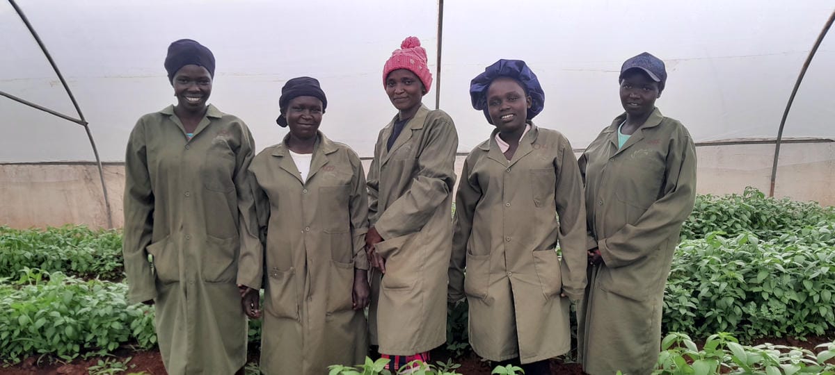 HARVESTING Team.jpg