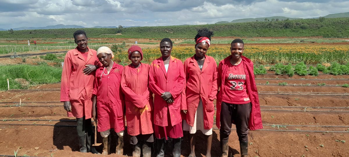 Weeding Team.jpg